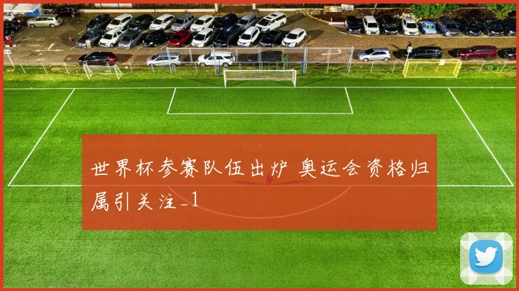 世界杯参赛队伍出炉 奥运会资格归属引关注_1