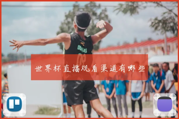 世界杯直播观看渠道有哪些