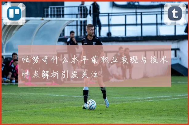 帕努奇什么水平前职业表现与技术特点解析引发关注