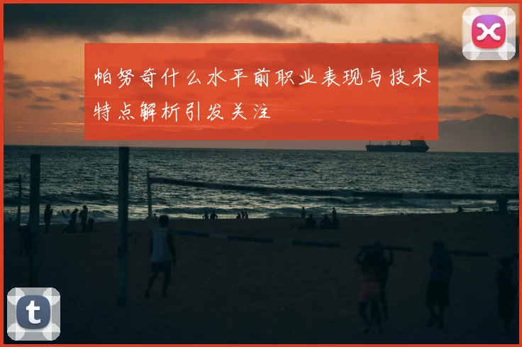 帕努奇什么水平前职业表现与技术特点解析引发关注