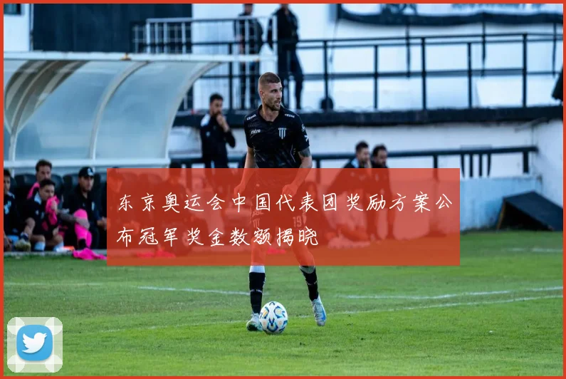 东京奥运会中国代表团奖励方案公布冠军奖金数额揭晓