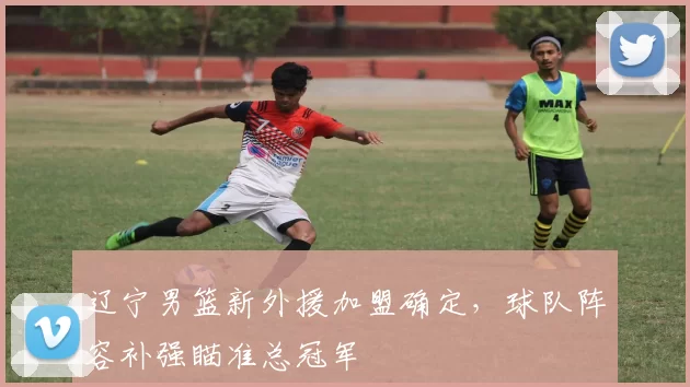 辽宁男篮新外援加盟确定，球队阵容补强瞄准总冠军